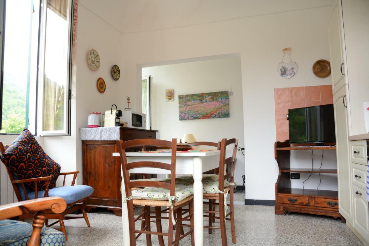 Ciassa Noeva Apartment Pieve di Teco Luaran gambar
