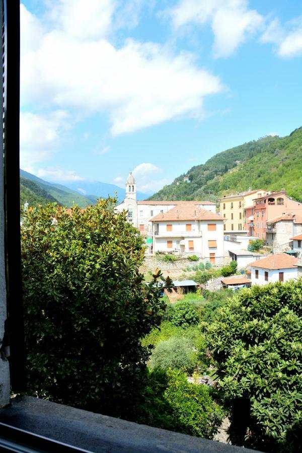 Ciassa Noeva Apartment Pieve di Teco Luaran gambar